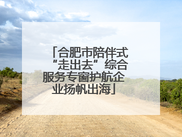 合肥市陪伴式“走出去”综合服务专窗护航企业扬帆出海