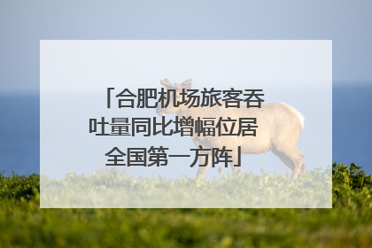 合肥机场旅客吞吐量同比增幅位居全国第一方阵