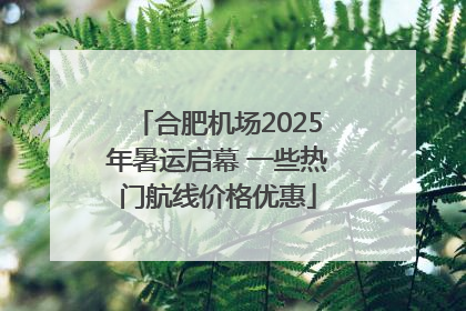 合肥机场2025年暑运启幕 一些热门航线价格优惠