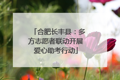 合肥长丰县：多方志愿者联动开展爱心助考行动