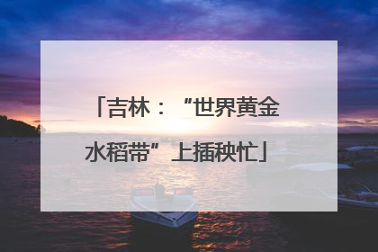 吉林：“世界黄金水稻带”上插秧忙