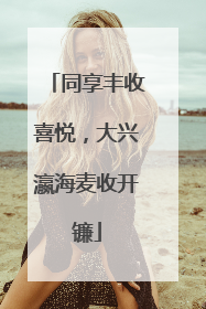 同享丰收喜悦，大兴瀛海麦收开镰