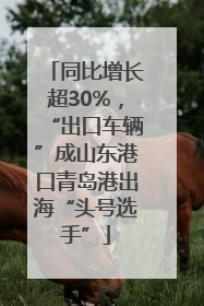 同比增长超30%，“出口车辆”成山东港口青岛港出海“头号选手”