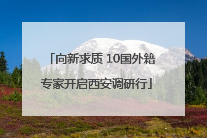 向新求质 10国外籍专家开启西安调研行