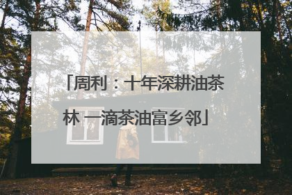 周利：十年深耕油茶林 一滴茶油富乡邻
