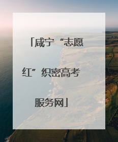 咸宁“志愿红”织密高考服务网