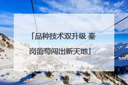 品种技术双升级 秦岗葡萄闯出新天地