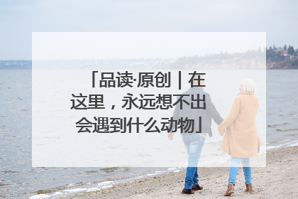 品读·原创｜在这里，永远想不出会遇到什么动物