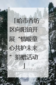 哈市香坊区向阳镇开展“情暖童心共护未来”捐赠活动