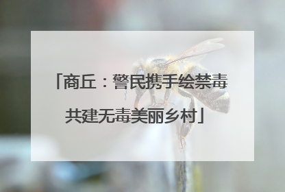 商丘：警民携手绘禁毒 共建无毒美丽乡村