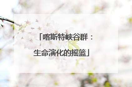 喀斯特峡谷群：生命演化的摇篮