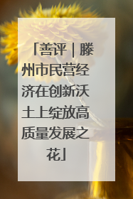 善评｜滕州市民营经济在创新沃土上绽放高质量发展之花