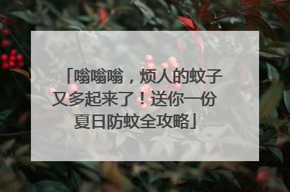 嗡嗡嗡，烦人的蚊子又多起来了！送你一份夏日防蚊全攻略