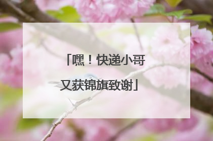 嘿！快递小哥又获锦旗致谢
