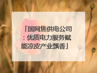 国网焦供电公司：优质电力服务赋能凉皮产业飘香