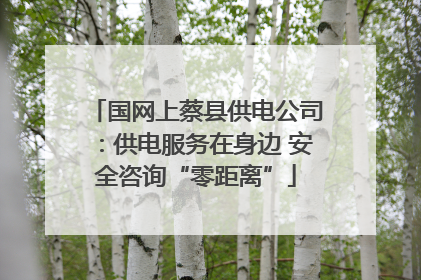 国网上蔡县供电公司：供电服务在身边 安全咨询“零距离”