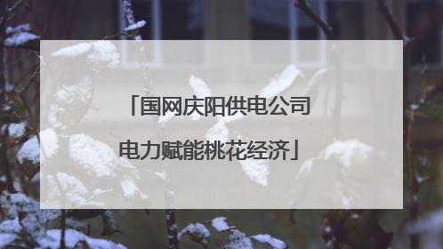 国网庆阳供电公司电力赋能桃花经济