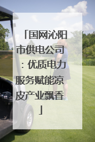 国网沁阳市供电公司：优质电力服务赋能凉皮产业飘香