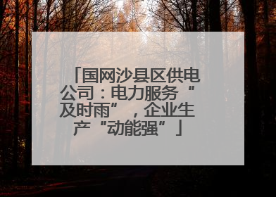 国网沙县区供电公司：电力服务“及时雨”，企业生产“动能强”