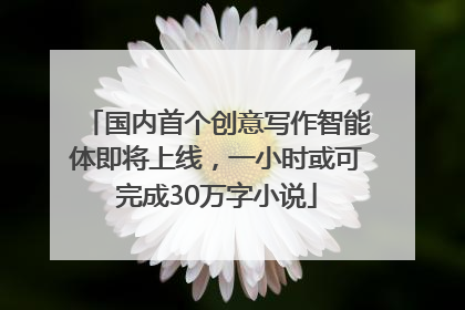 国内首个创意写作智能体即将上线，一小时或可完成30万字小说