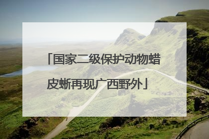 国家二级保护动物蜡皮蜥再现广西野外