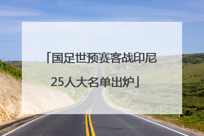 国足世预赛客战印尼25人大名单出炉