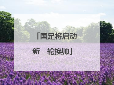 国足将启动新一轮换帅