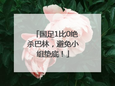 国足1比0绝杀巴林，避免小组垫底！