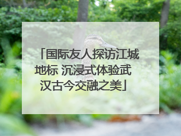 国际友人探访江城地标 沉浸式体验武汉古今交融之美