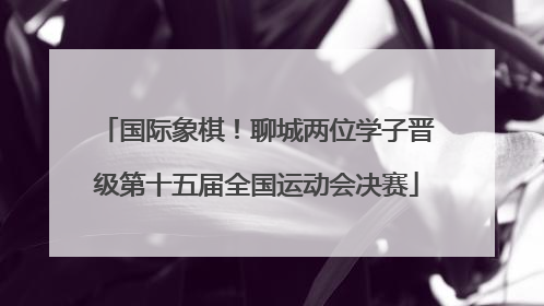 国际象棋！聊城两位学子晋级第十五届全国运动会决赛