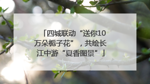 四城联动“送你10万朵栀子花”，共绘长江中游“夏香图景”