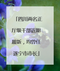 四川两名正厅级干部近期履新，均曾任遂宁市市长
