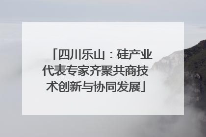 四川乐山：硅产业代表专家齐聚共商技术创新与协同发展