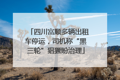 四川富顺多辆出租车停运，司机称“黑三轮”猖獗盼治理