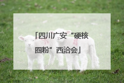 四川广安“硬核圈粉”西洽会