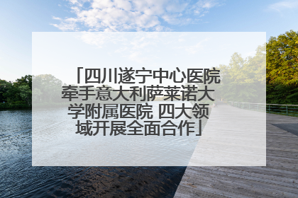 四川遂宁中心医院牵手意大利萨莱诺大学附属医院 四大领域开展全面合作