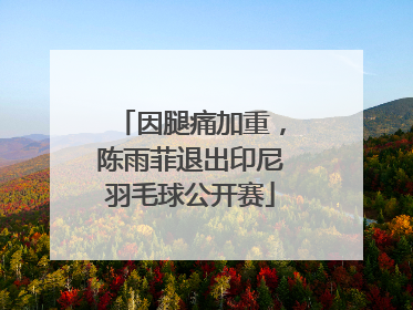 因腿痛加重，陈雨菲退出印尼羽毛球公开赛
