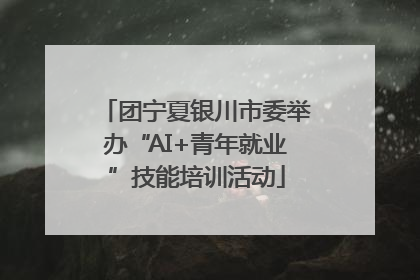 团宁夏银川市委举办“AI+青年就业”技能培训活动