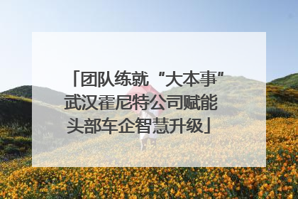 团队练就“大本事” 武汉霍尼特公司赋能头部车企智慧升级