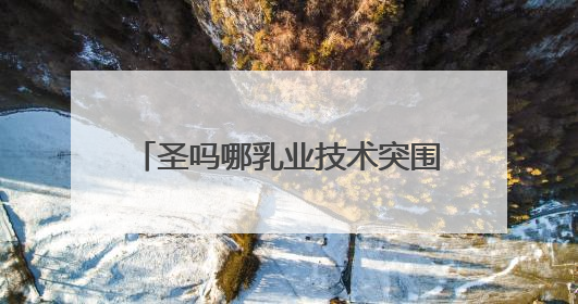 圣吗哪乳业技术突围：冰勃朗如何改写茶饮原料健康标准？