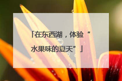 在东西湖，体验“水果味的夏天”