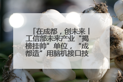 在成都，创未来丨工信部未来产业“揭榜挂帅”单位，“成都造”用脑机接口技术造福孤独症儿童