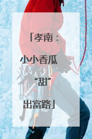 孝南：小小香瓜 “甜”出富路