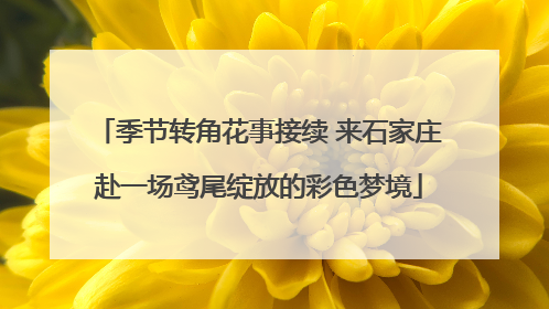 季节转角花事接续 来石家庄赴一场鸢尾绽放的彩色梦境