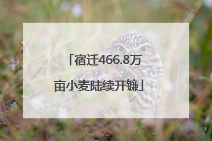 宿迁466.8万亩小麦陆续开镰