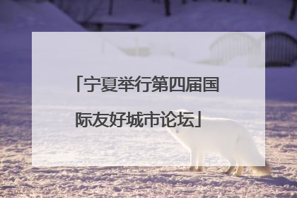 宁夏举行第四届国际友好城市论坛