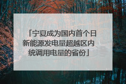 宁夏成为国内首个日新能源发电量超越区内统调用电量的省份