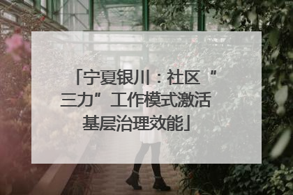 宁夏银川：社区“三力”工作模式激活基层治理效能