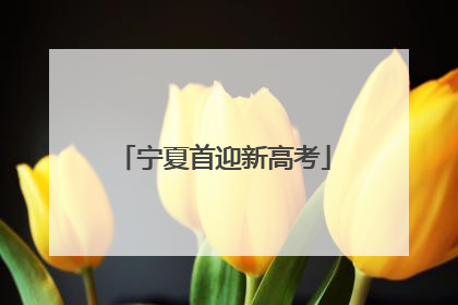 宁夏首迎新高考