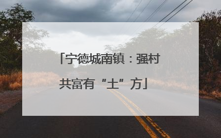 宁德城南镇：强村共富有“土”方